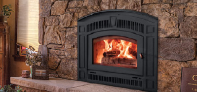 black fireplace insert with bricks around it