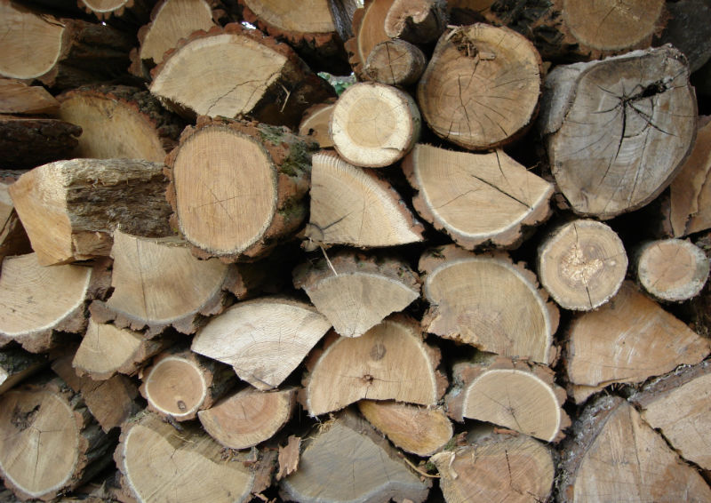 Storing Wood in the Summer